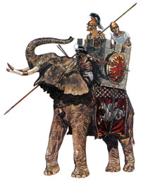 Боевой слон диадохов