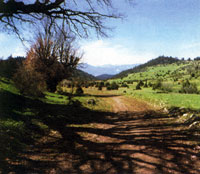 Равнина Неврополь к югу от перевала Лиафица—Каллидромон