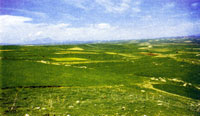 Вид, открывающийся с места, где стояли греки, близ современной Дафны